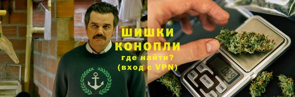 гашик Нея