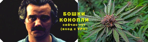 2c-b Алзамай