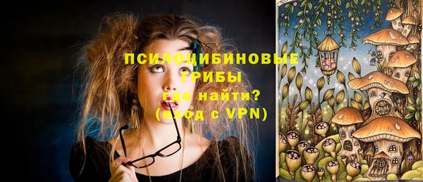 стафф Алексеевка