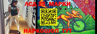 прущие крисы Кингисепп